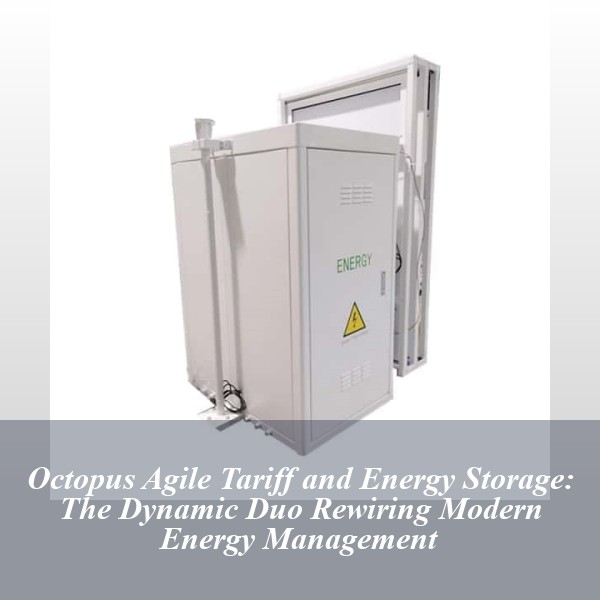 Octopus Agile Tariff and Energy Storage: The Dynamic Duo Rewiring Modern Energy Management